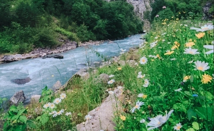 Фотографии.
